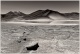 Salar de Talar/ Chile (Sepia)                                                    November2017